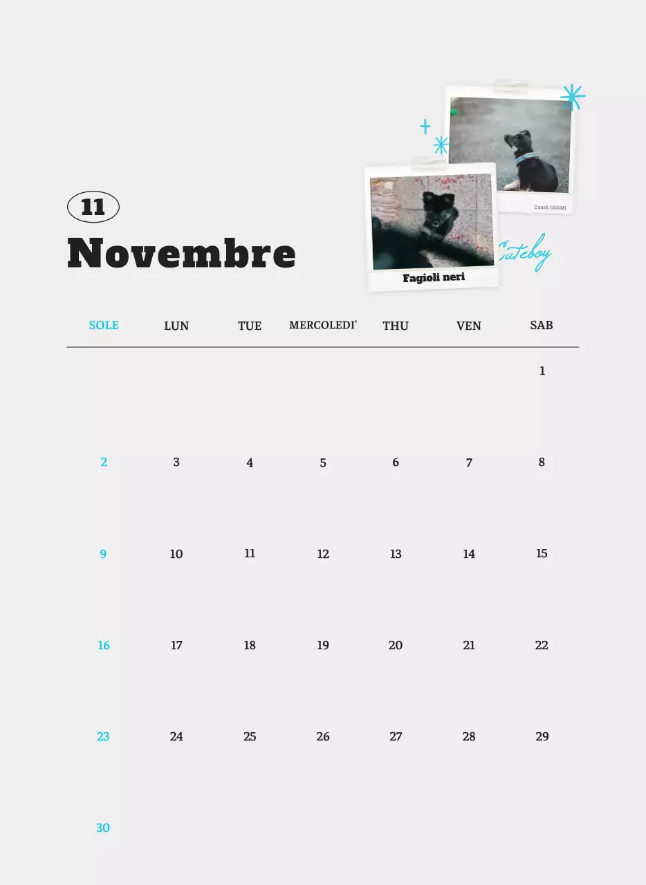 Calendario fotografico degli animali del balletto bianco e ordinato