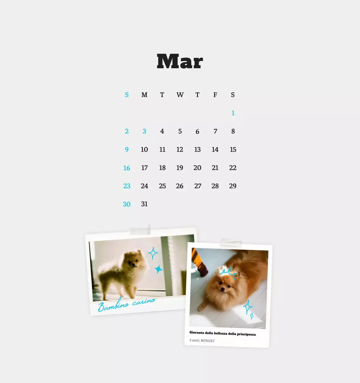 Calendario fotografico degli animali del balletto bianco e ordinato