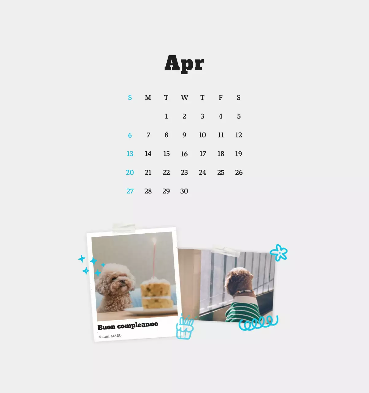 Calendario fotografico degli animali del balletto bianco e ordinato