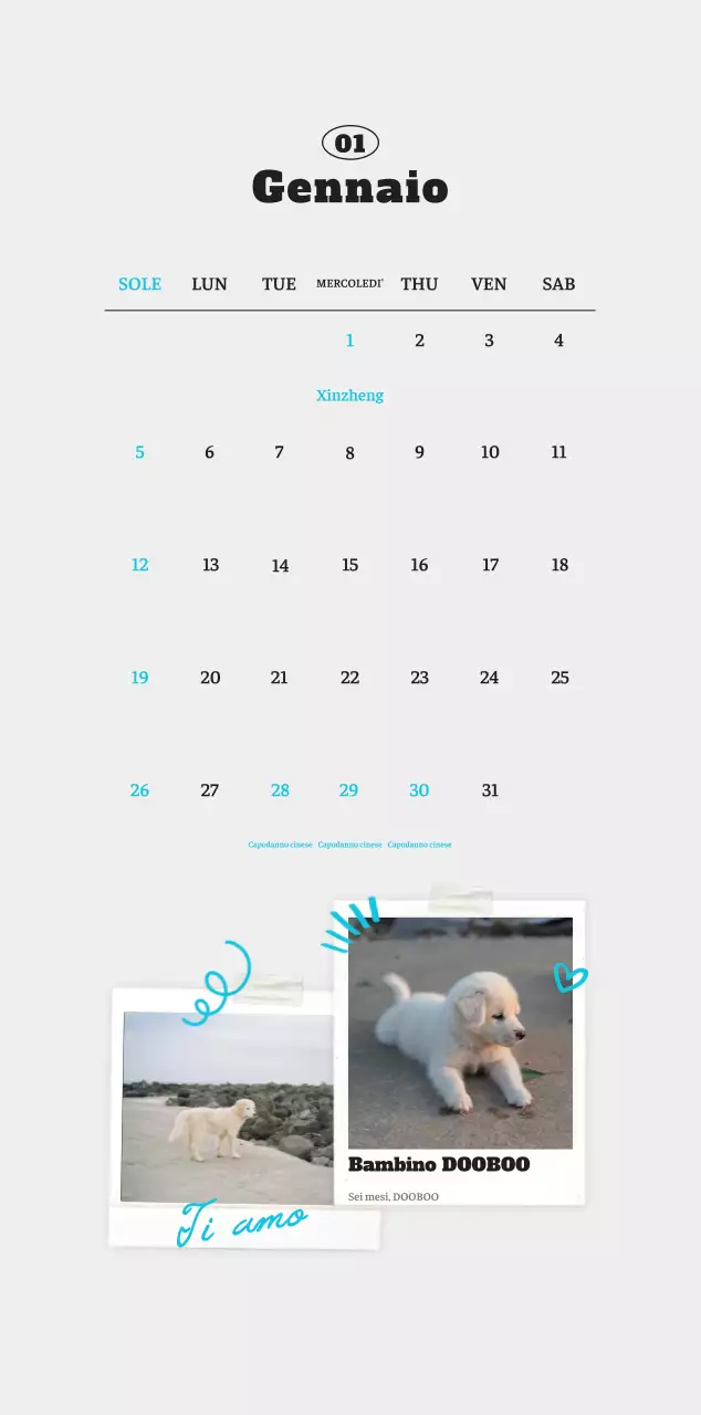 Calendario fotografico degli animali del balletto bianco e ordinato