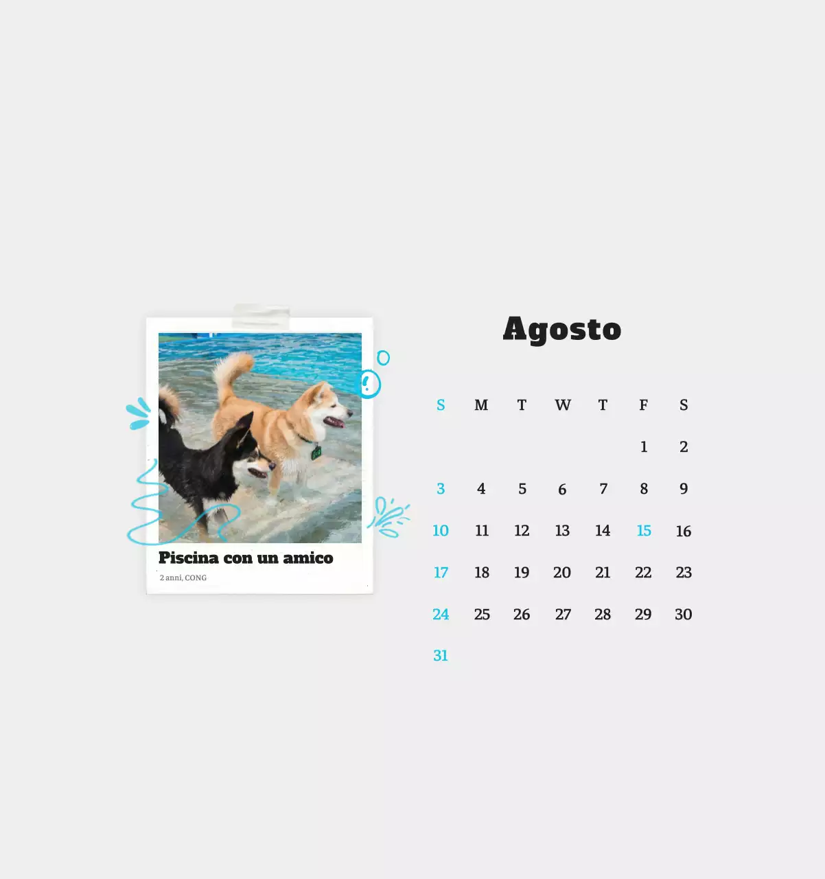 Calendario fotografico degli animali del balletto bianco e ordinato