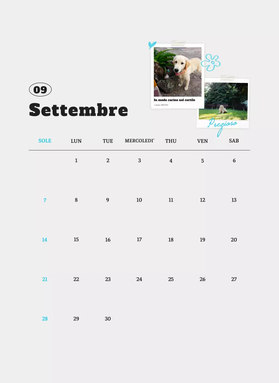 Calendario fotografico degli animali del balletto bianco e ordinato