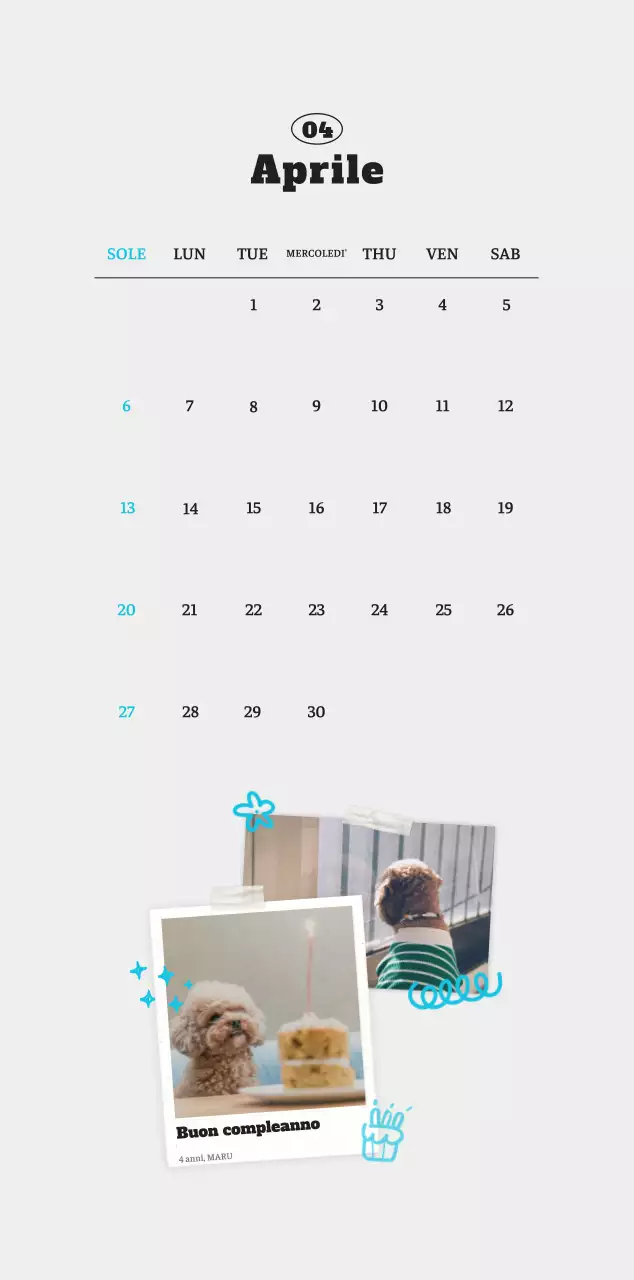 Calendario fotografico degli animali del balletto bianco e ordinato