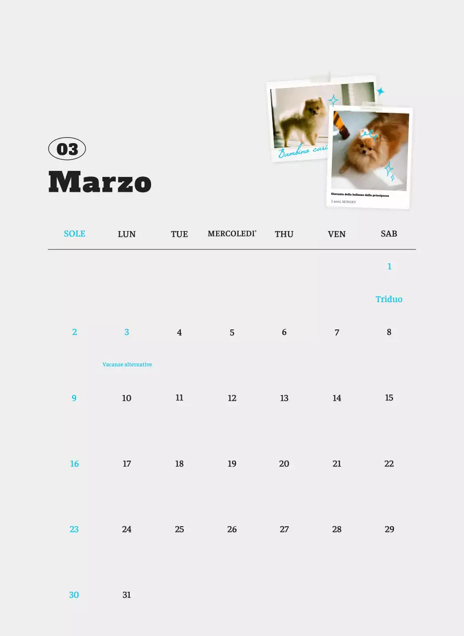 Calendario fotografico degli animali del balletto bianco e ordinato