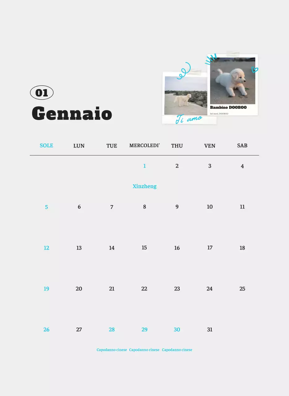 Calendario fotografico degli animali del balletto bianco e ordinato