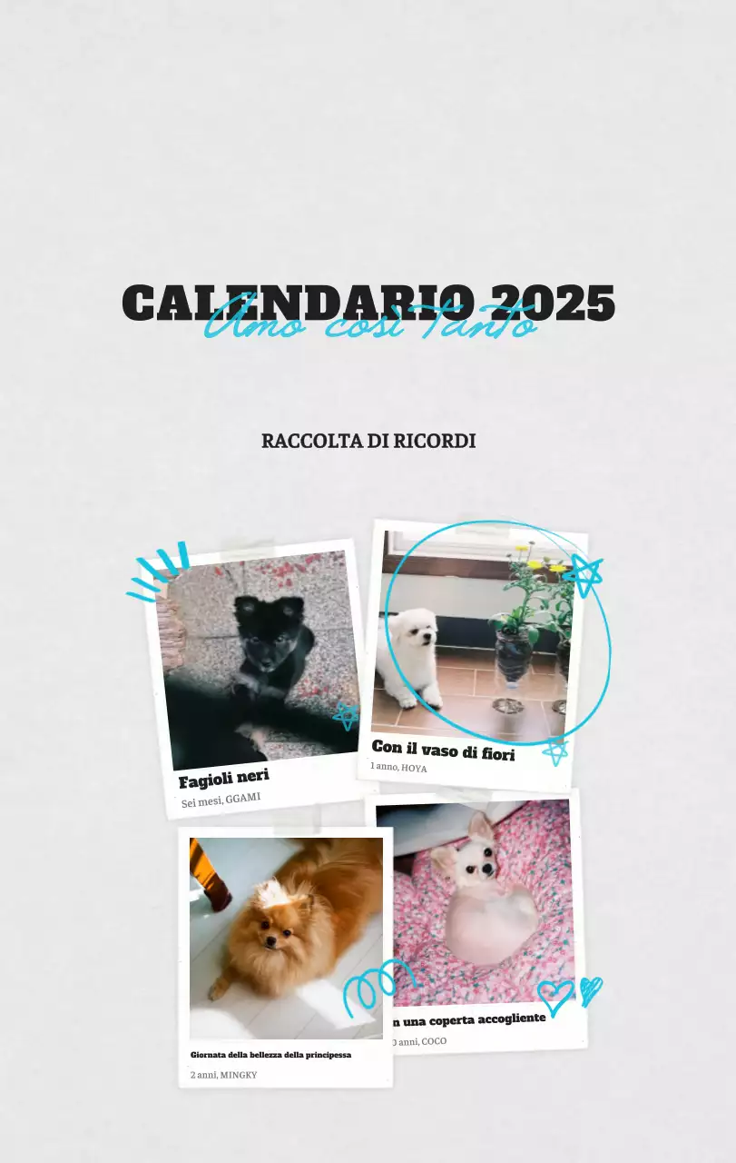Calendario fotografico degli animali del balletto bianco e ordinato