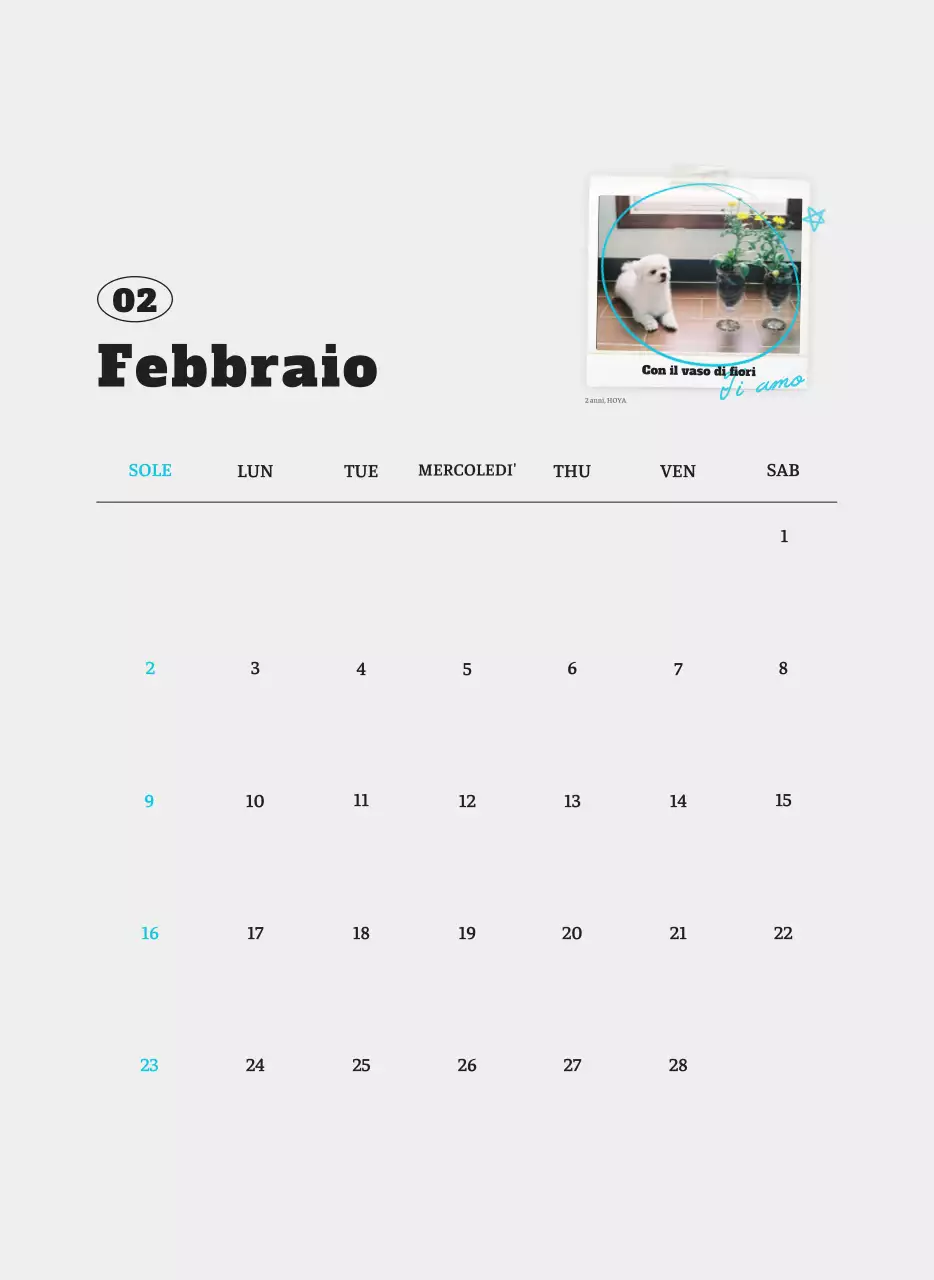 Calendario fotografico degli animali del balletto bianco e ordinato