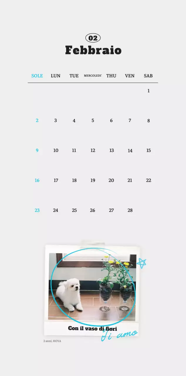 Calendario fotografico degli animali del balletto bianco e ordinato