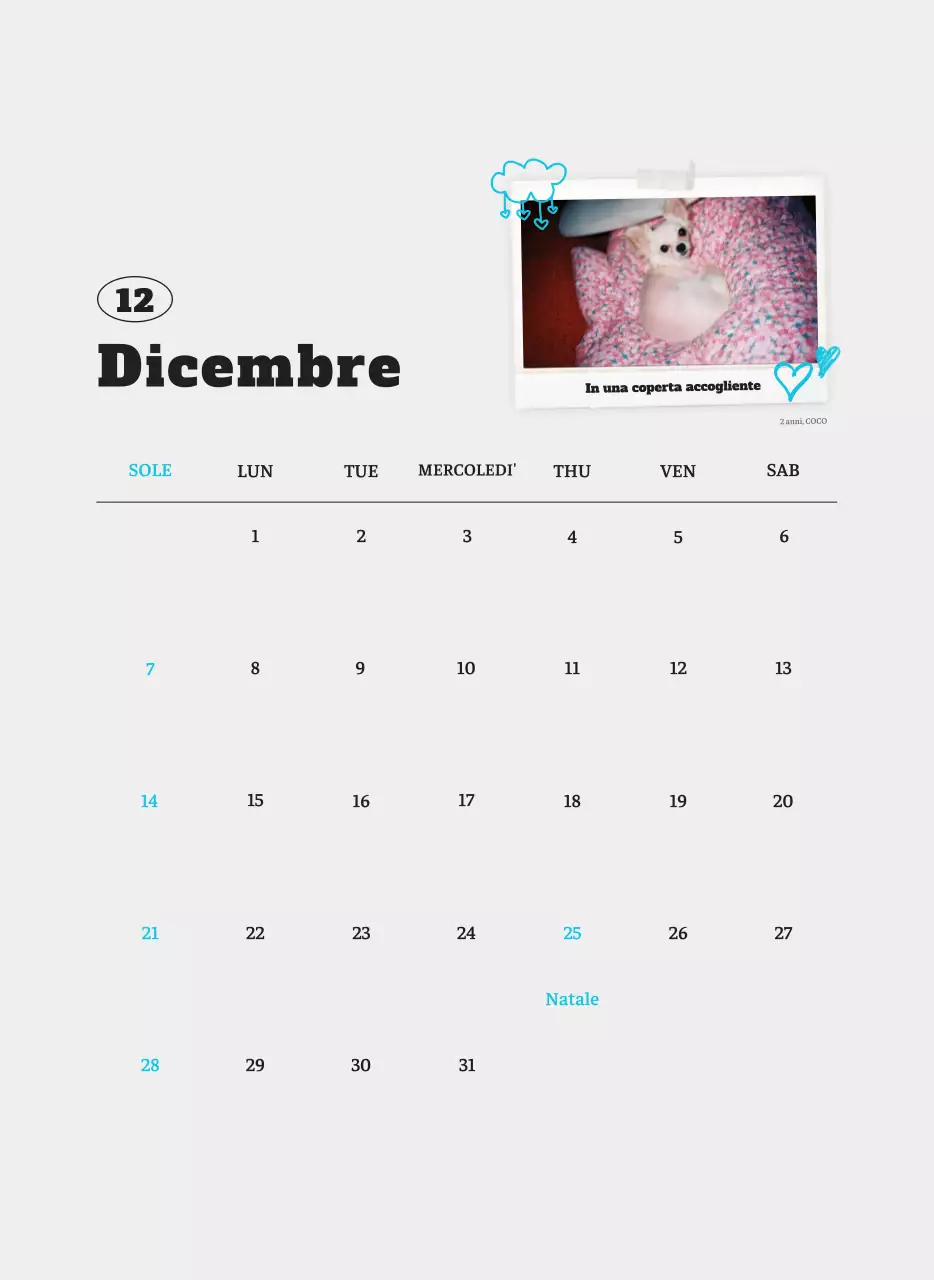 Calendario fotografico degli animali del balletto bianco e ordinato