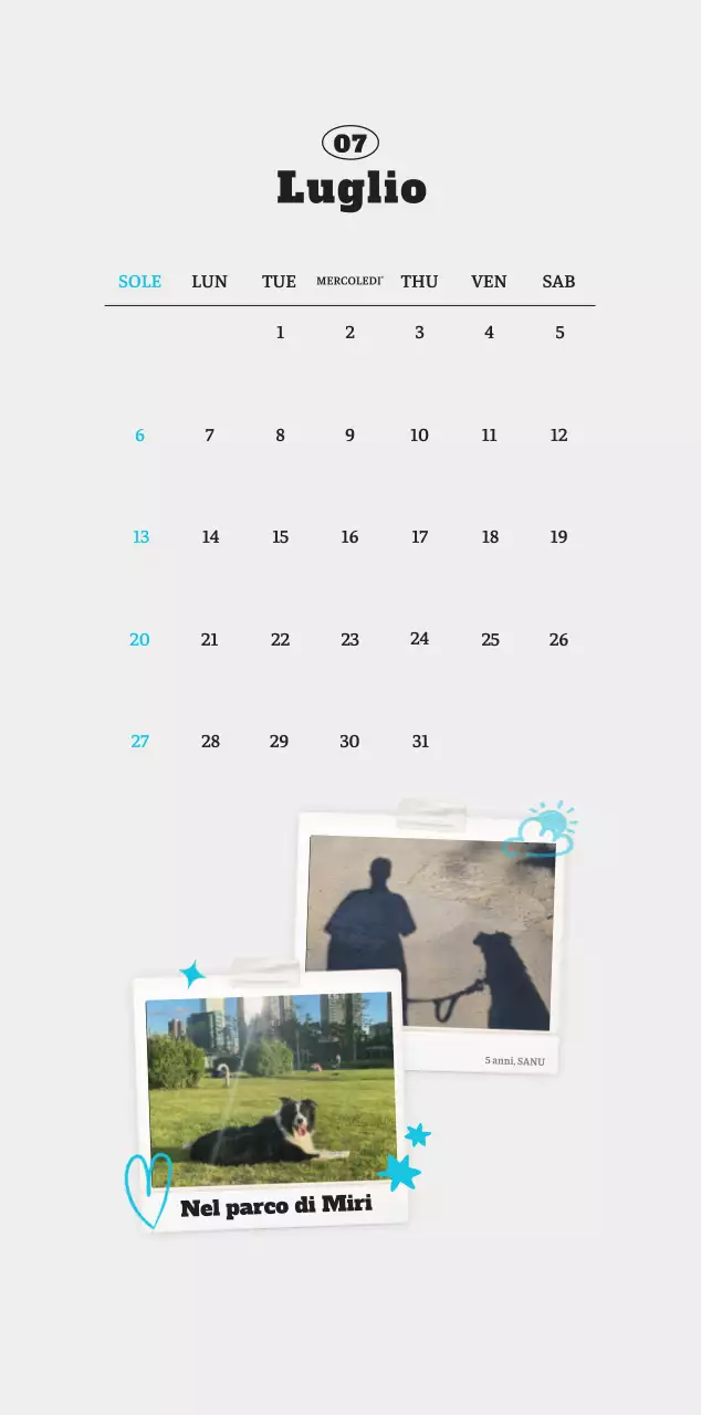 Calendario fotografico degli animali del balletto bianco e ordinato