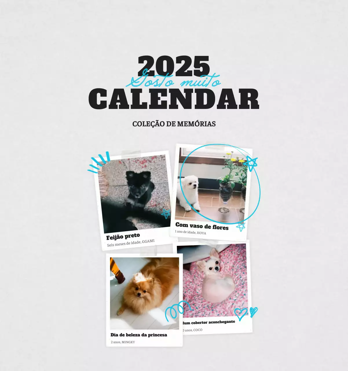 Calendário fotográfico de animais de ballet branco e elegante