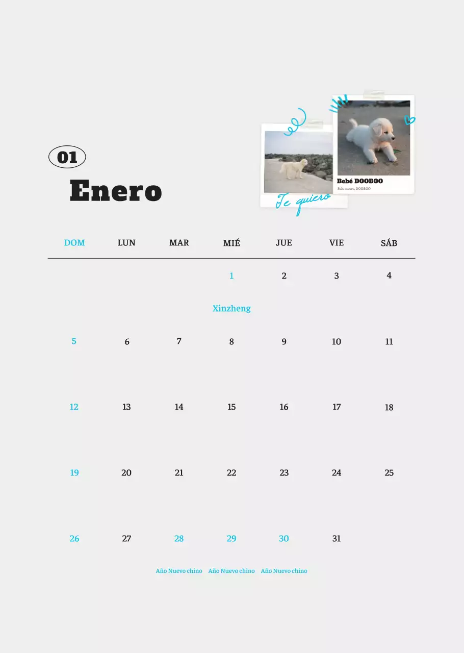 Ballet Blanco Neat Animal Foto Calendario