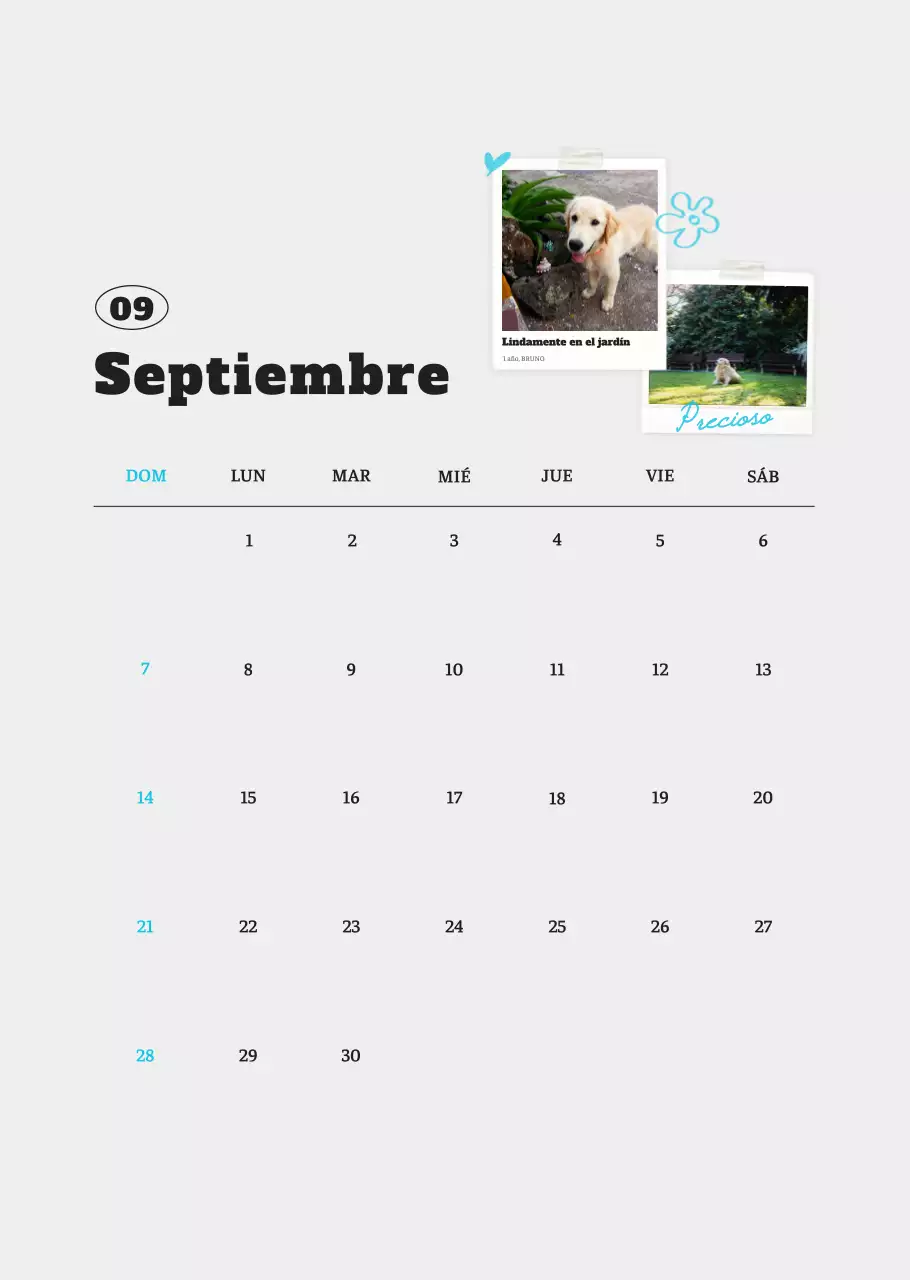 Ballet Blanco Neat Animal Foto Calendario