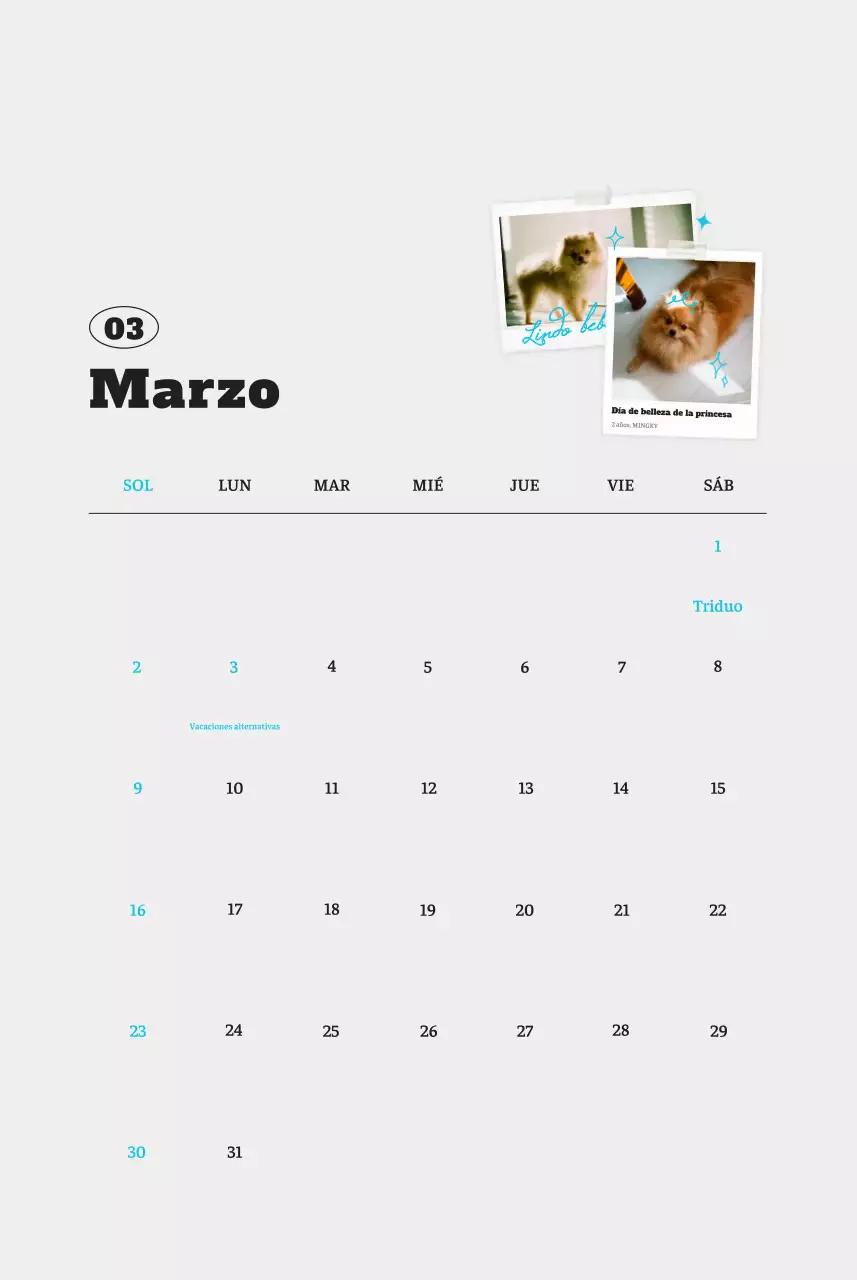 Ballet Blanco Neat Animal Foto Calendario