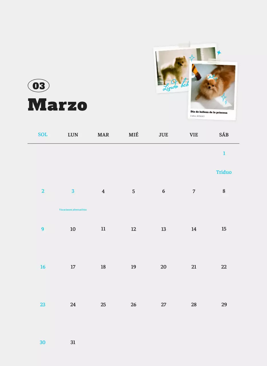 Ballet Blanco Neat Animal Foto Calendario