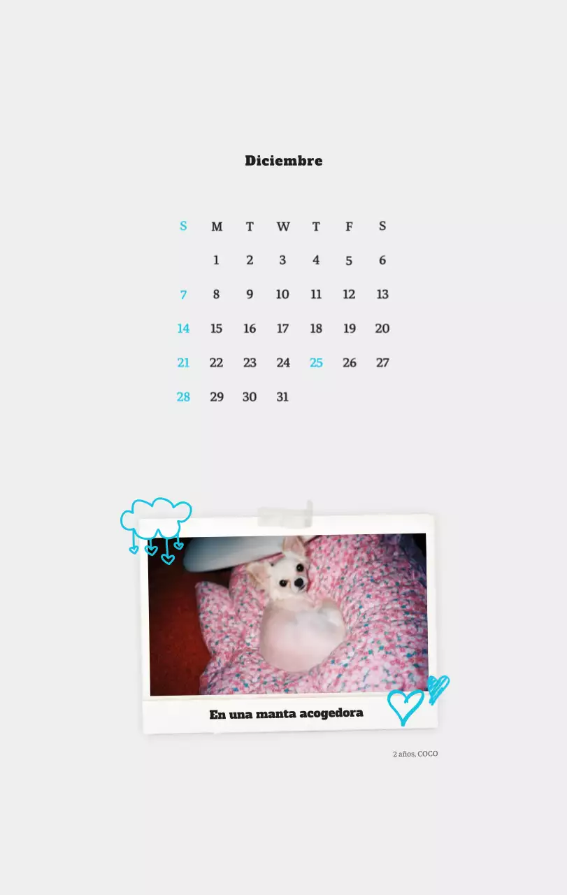 Ballet Blanco Neat Animal Foto Calendario