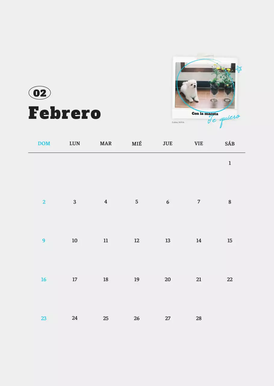 Ballet Blanco Neat Animal Foto Calendario