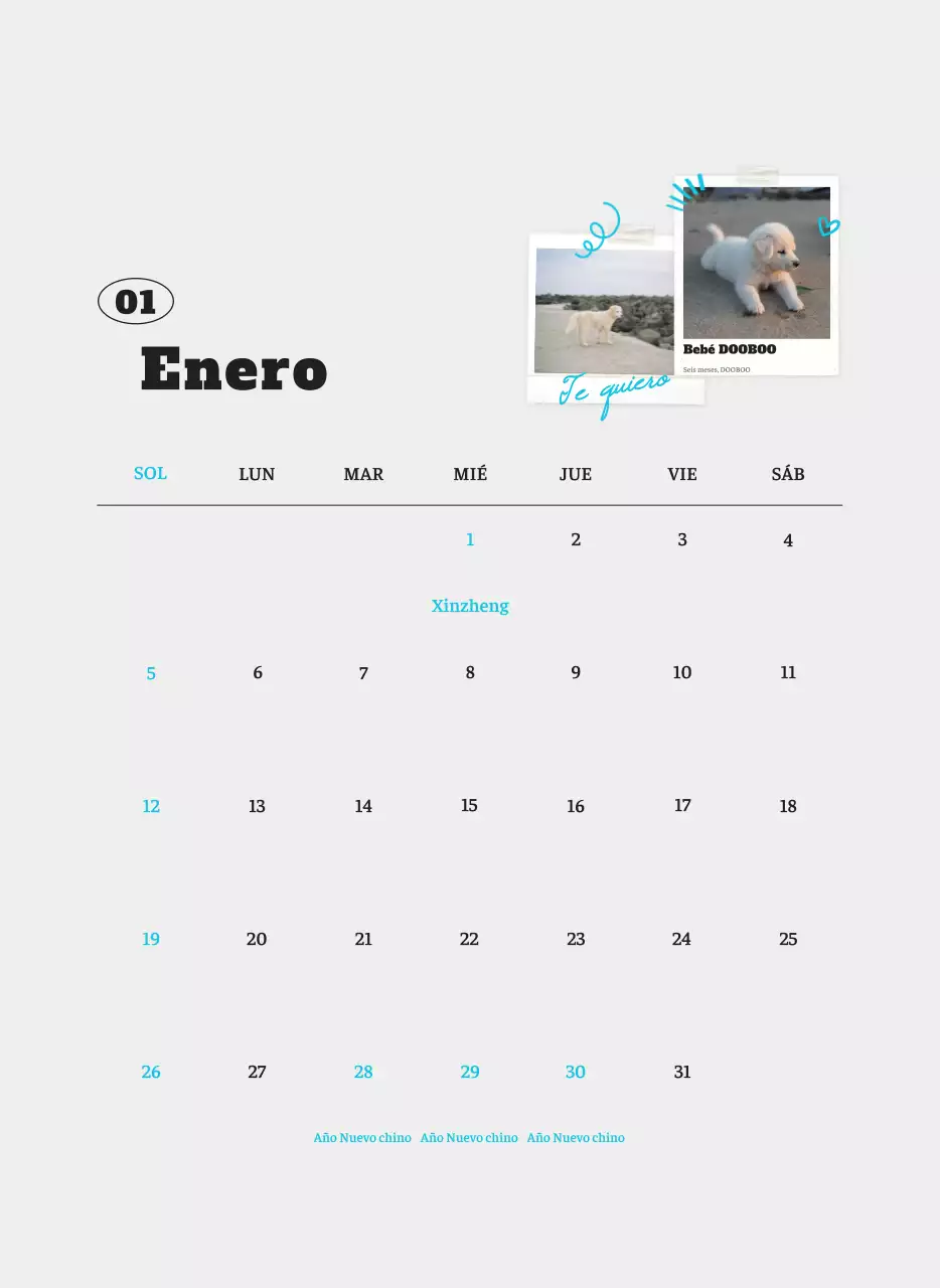 Ballet Blanco Neat Animal Foto Calendario