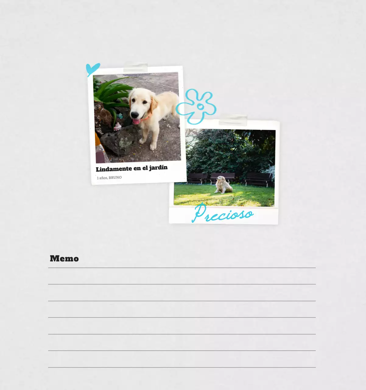 Ballet Blanco Neat Animal Foto Calendario