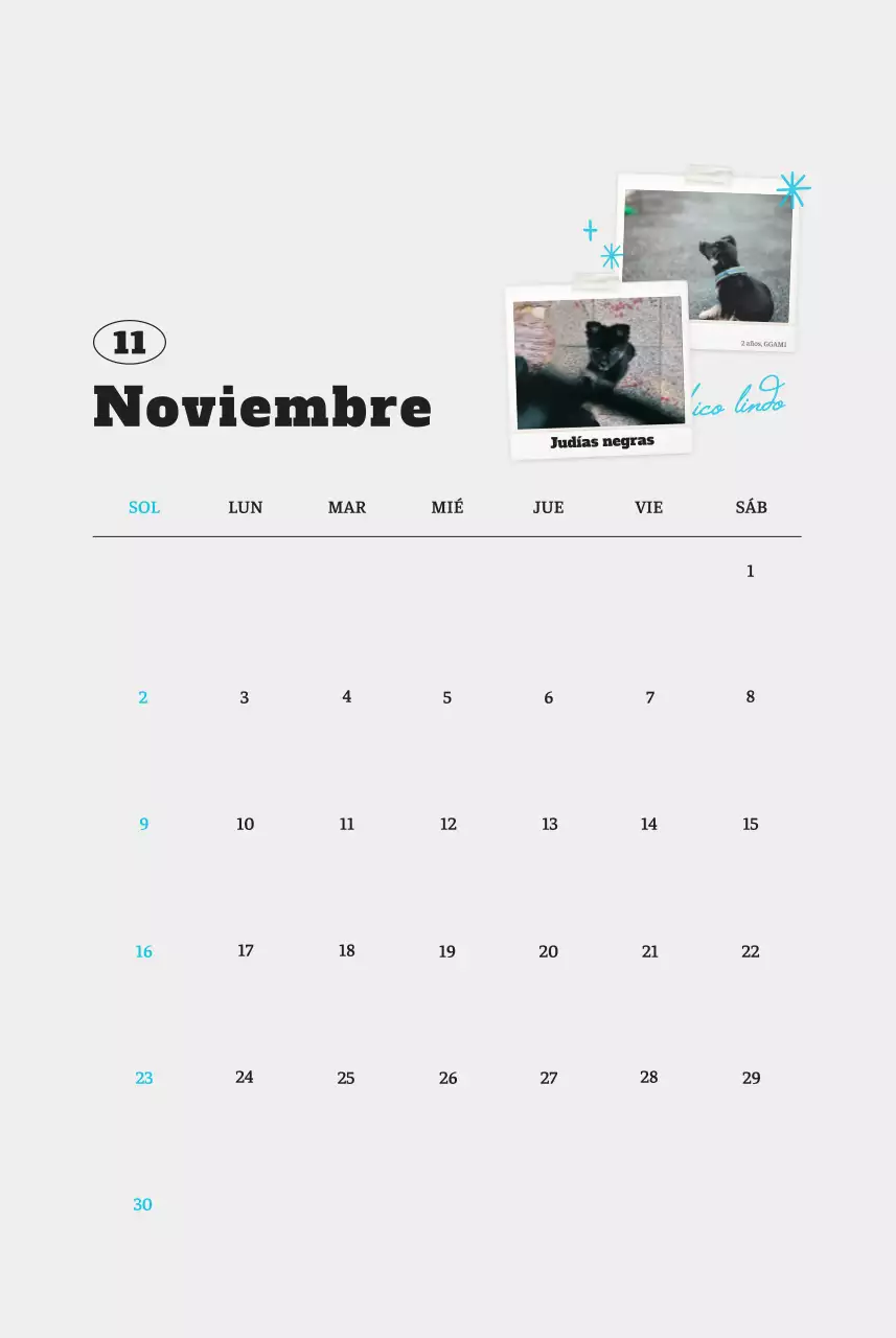 Ballet Blanco Neat Animal Foto Calendario