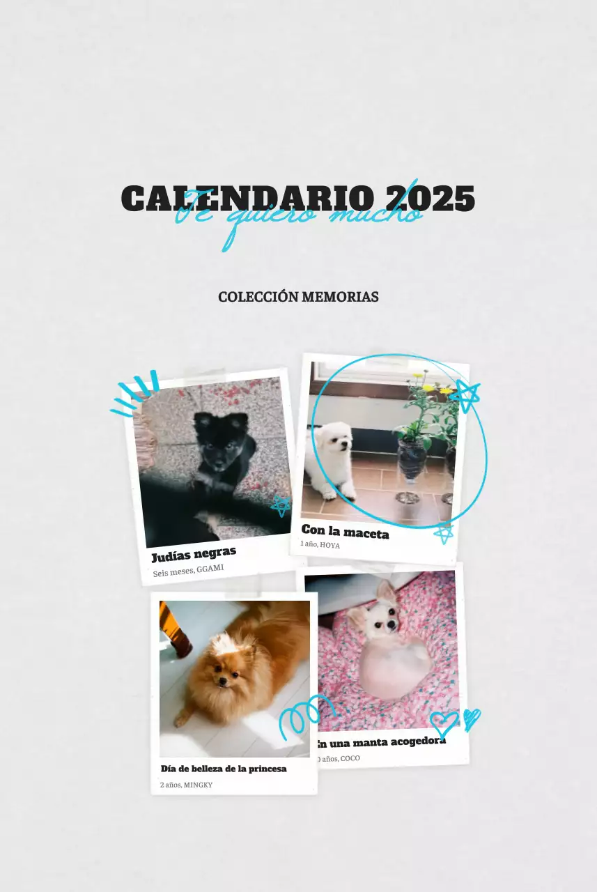 Ballet Blanco Neat Animal Foto Calendario