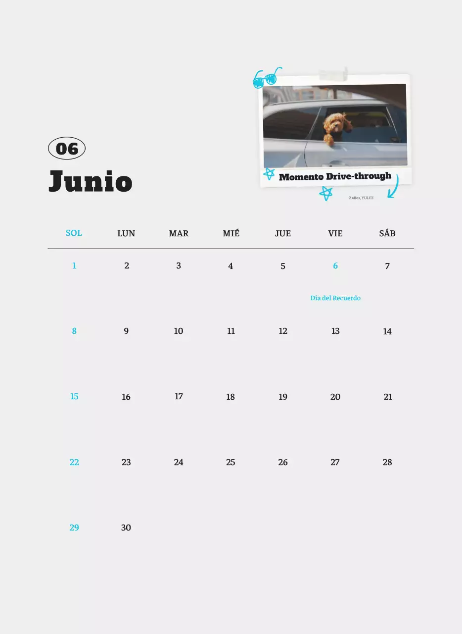 Ballet Blanco Neat Animal Foto Calendario