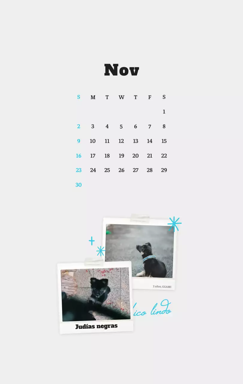 Ballet Blanco Neat Animal Foto Calendario