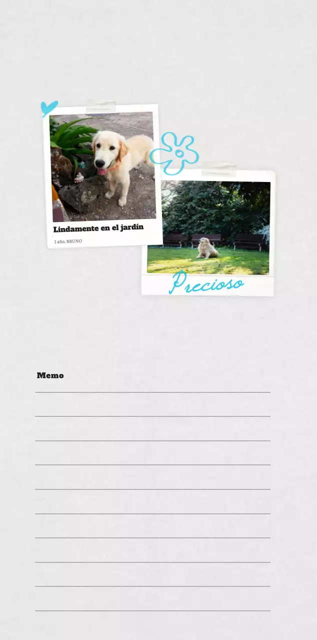 Ballet Blanco Neat Animal Foto Calendario