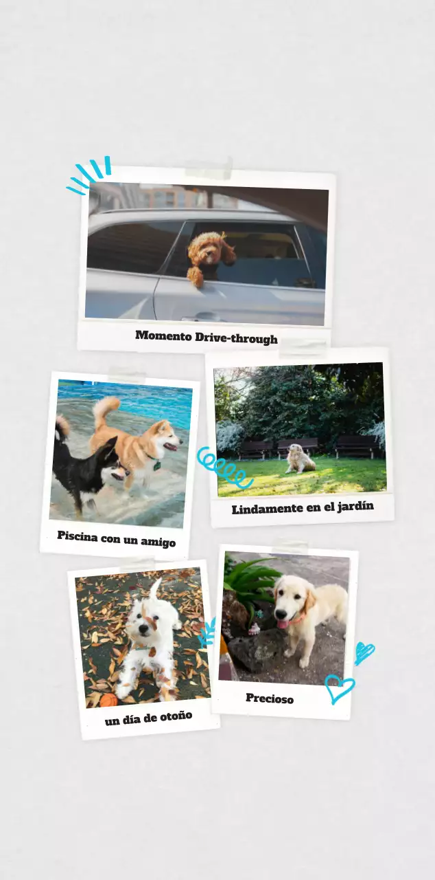 Ballet Blanco Neat Animal Foto Calendario