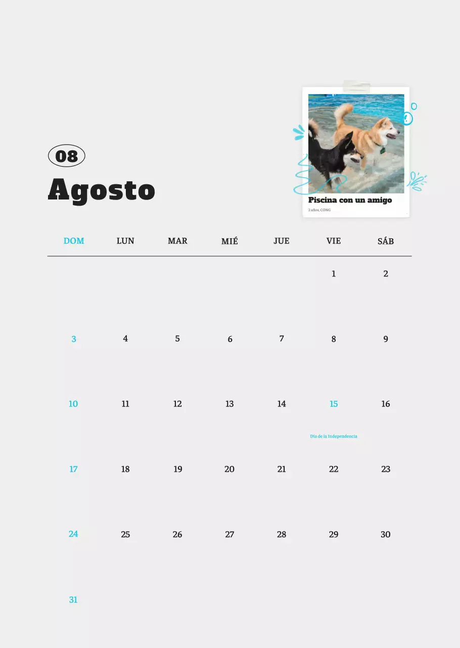 Ballet Blanco Neat Animal Foto Calendario