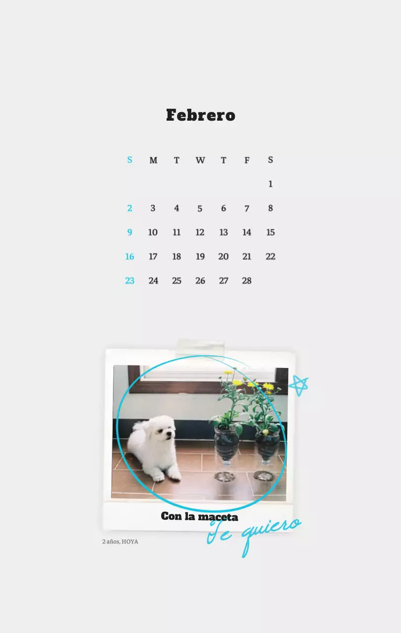 Ballet Blanco Neat Animal Foto Calendario