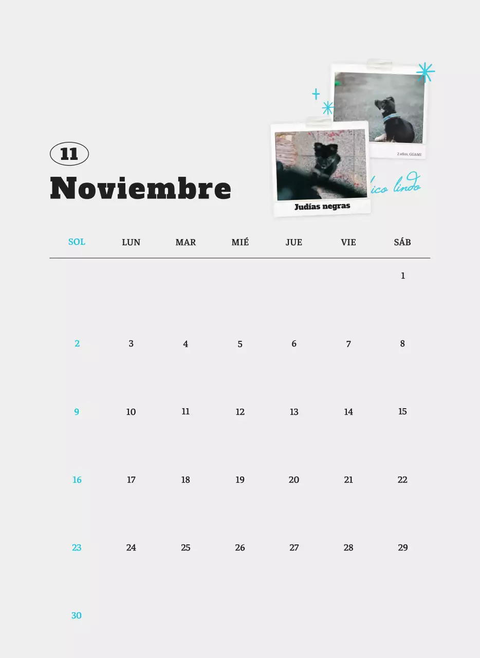 Ballet Blanco Neat Animal Foto Calendario