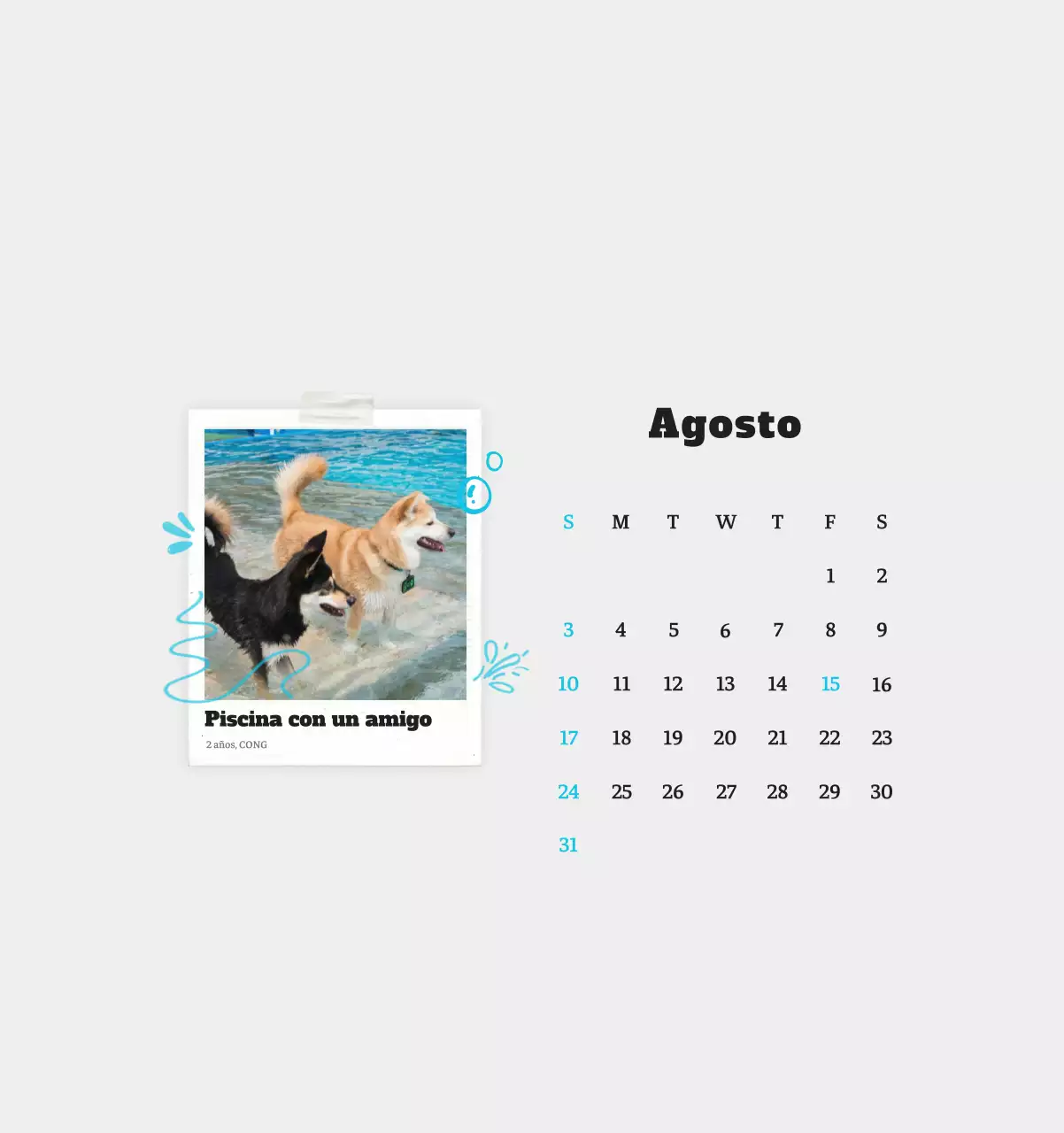 Ballet Blanco Neat Animal Foto Calendario