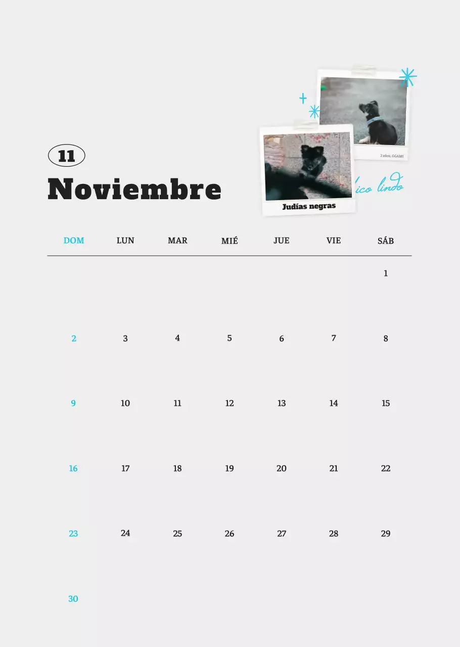 Ballet Blanco Neat Animal Foto Calendario