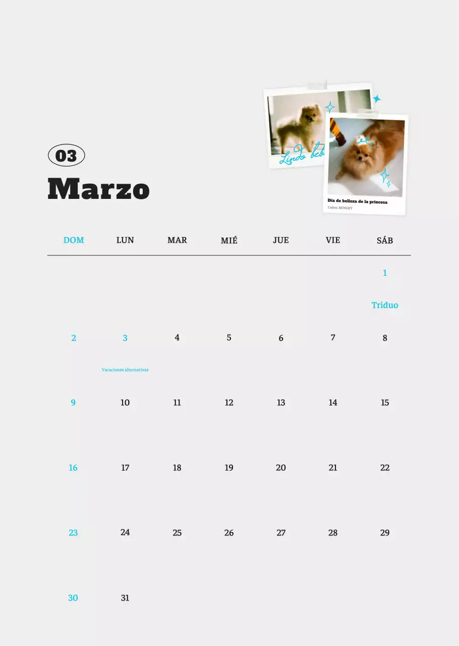 Ballet Blanco Neat Animal Foto Calendario