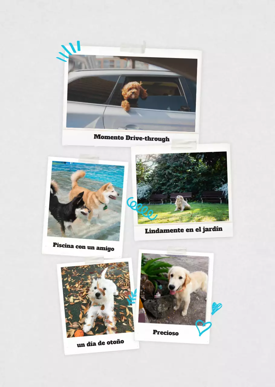 Ballet Blanco Neat Animal Foto Calendario