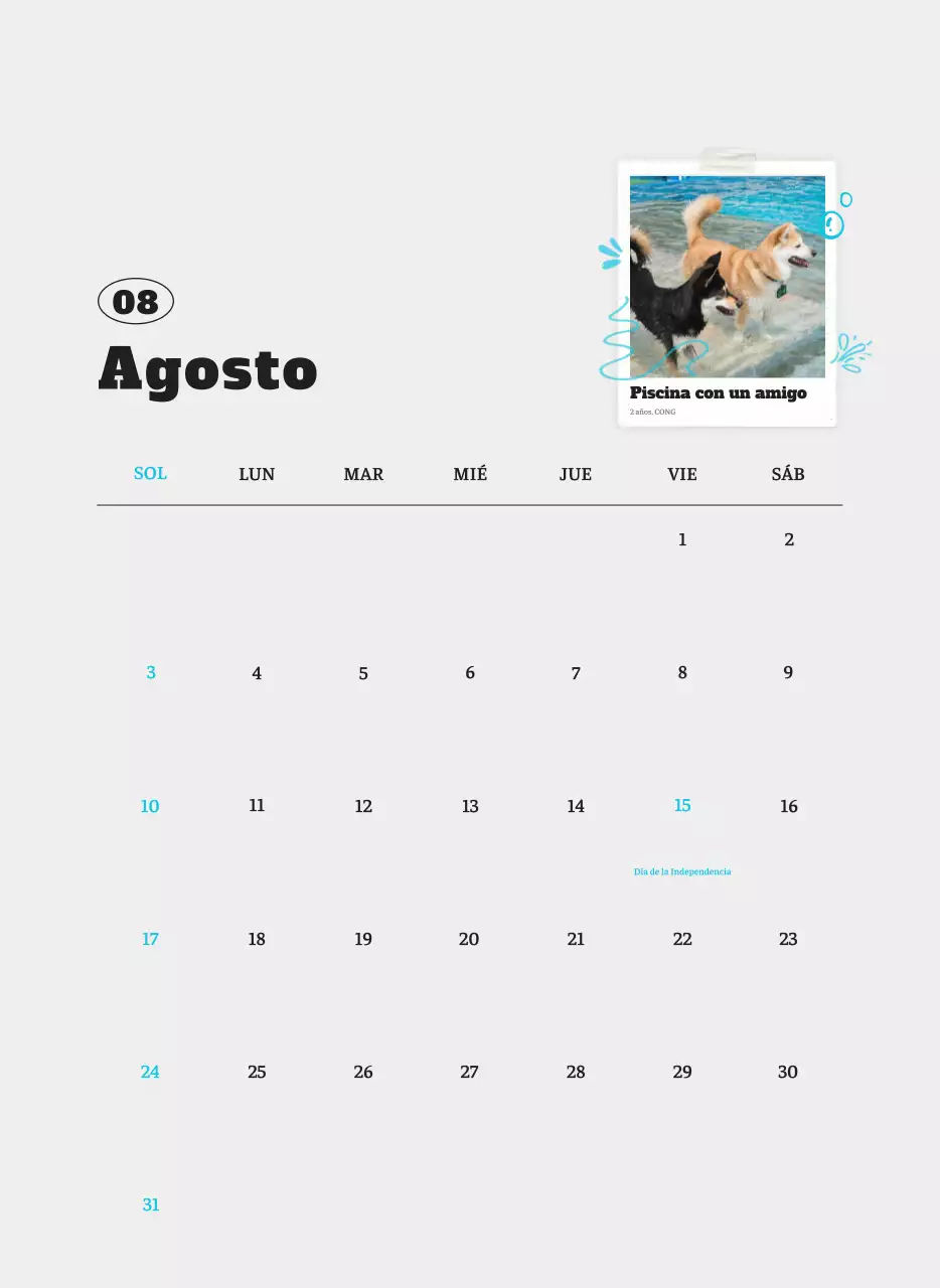 Ballet Blanco Neat Animal Foto Calendario
