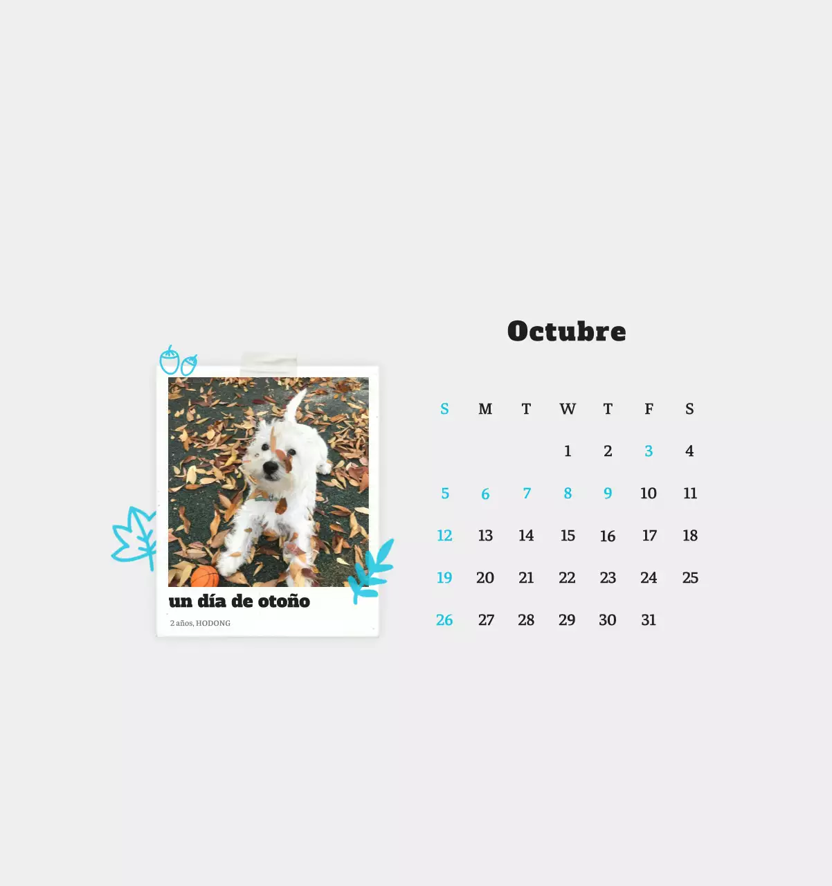 Ballet Blanco Neat Animal Foto Calendario