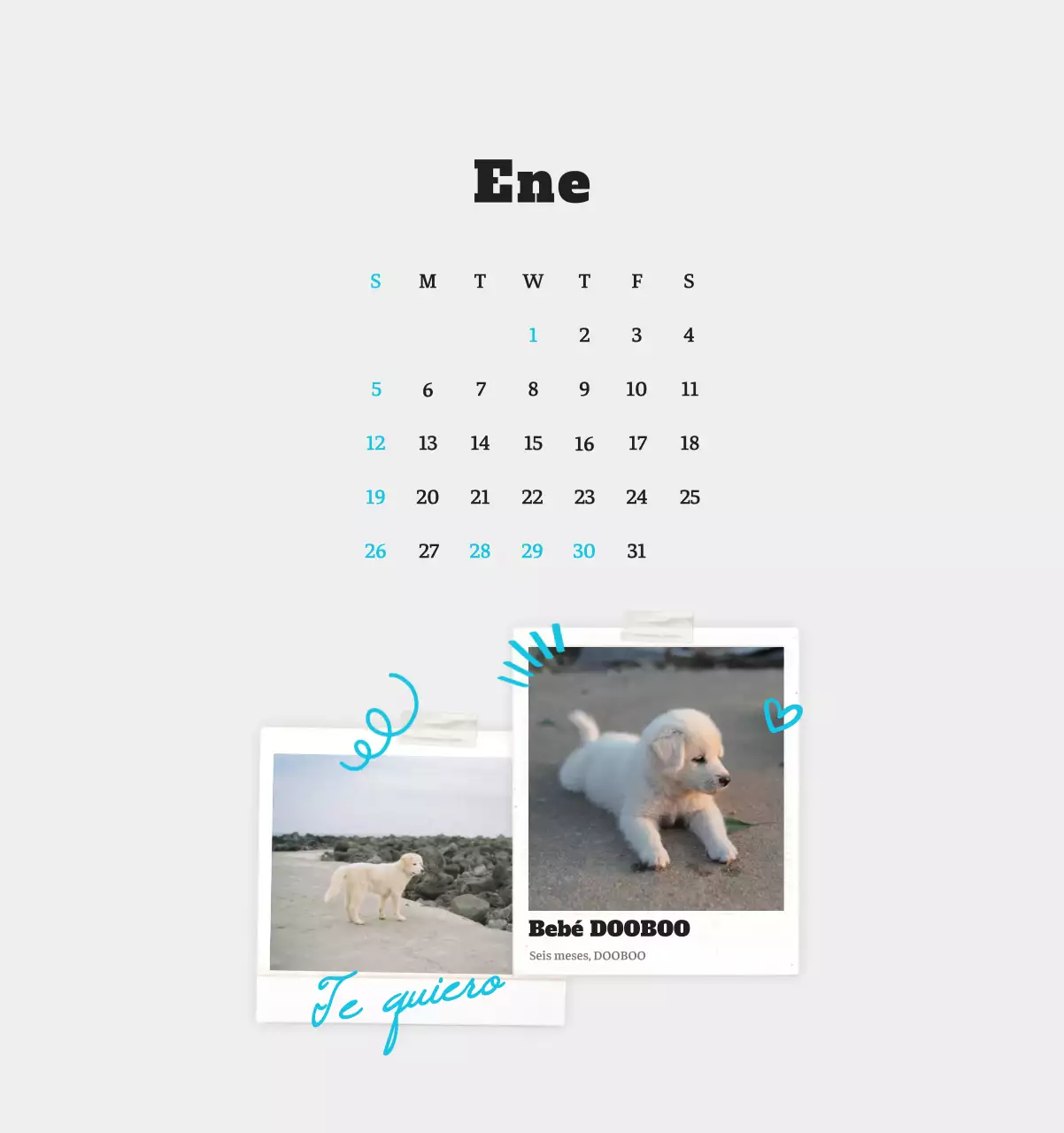 Ballet Blanco Neat Animal Foto Calendario