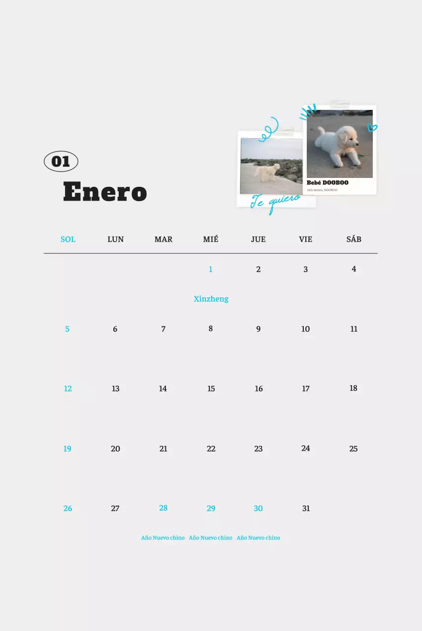 Ballet Blanco Neat Animal Foto Calendario