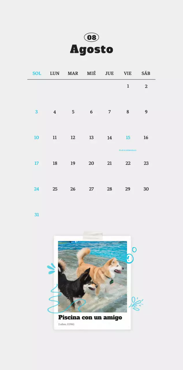 Ballet Blanco Neat Animal Foto Calendario