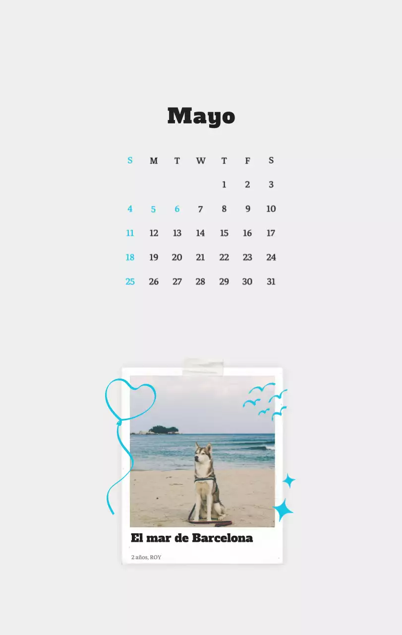 Ballet Blanco Neat Animal Foto Calendario