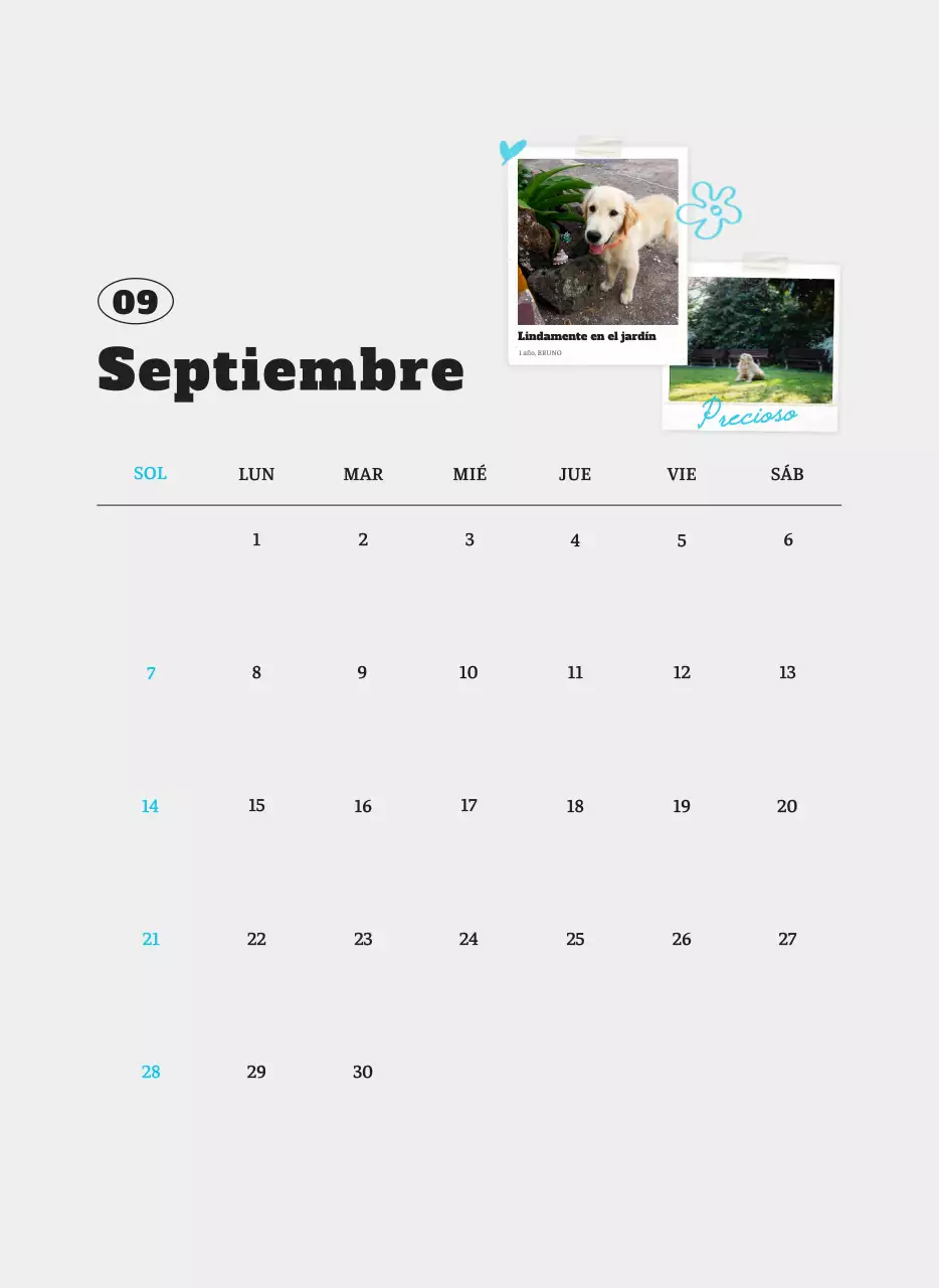 Ballet Blanco Neat Animal Foto Calendario