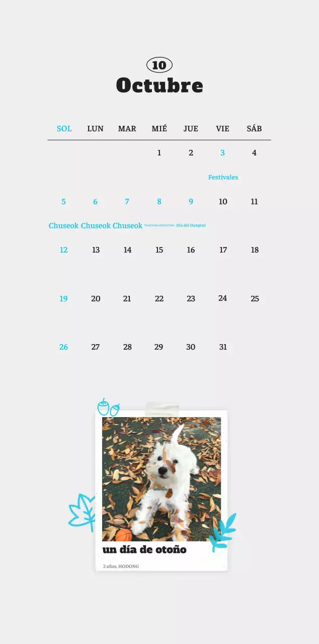 Ballet Blanco Neat Animal Foto Calendario