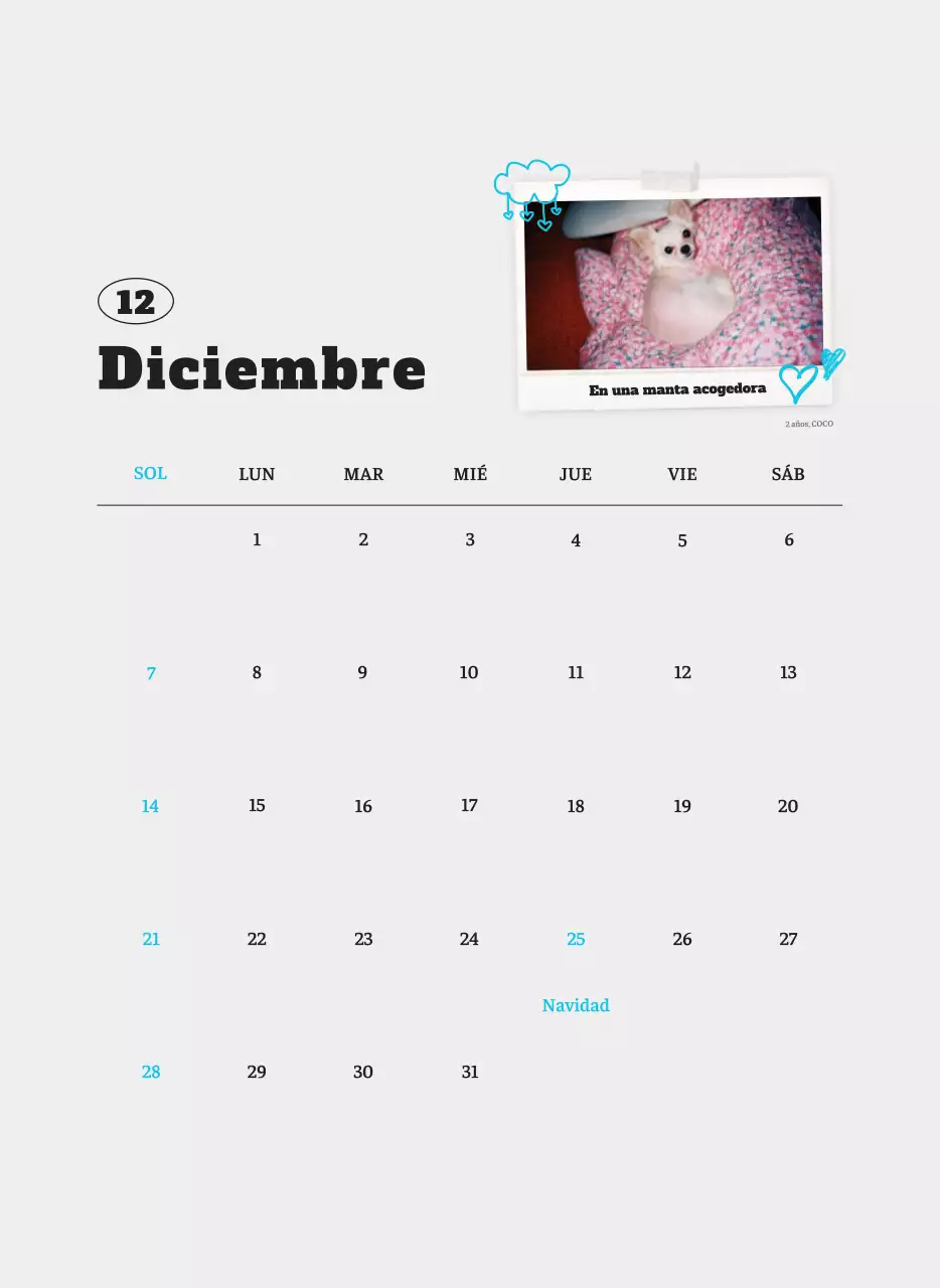 Ballet Blanco Neat Animal Foto Calendario