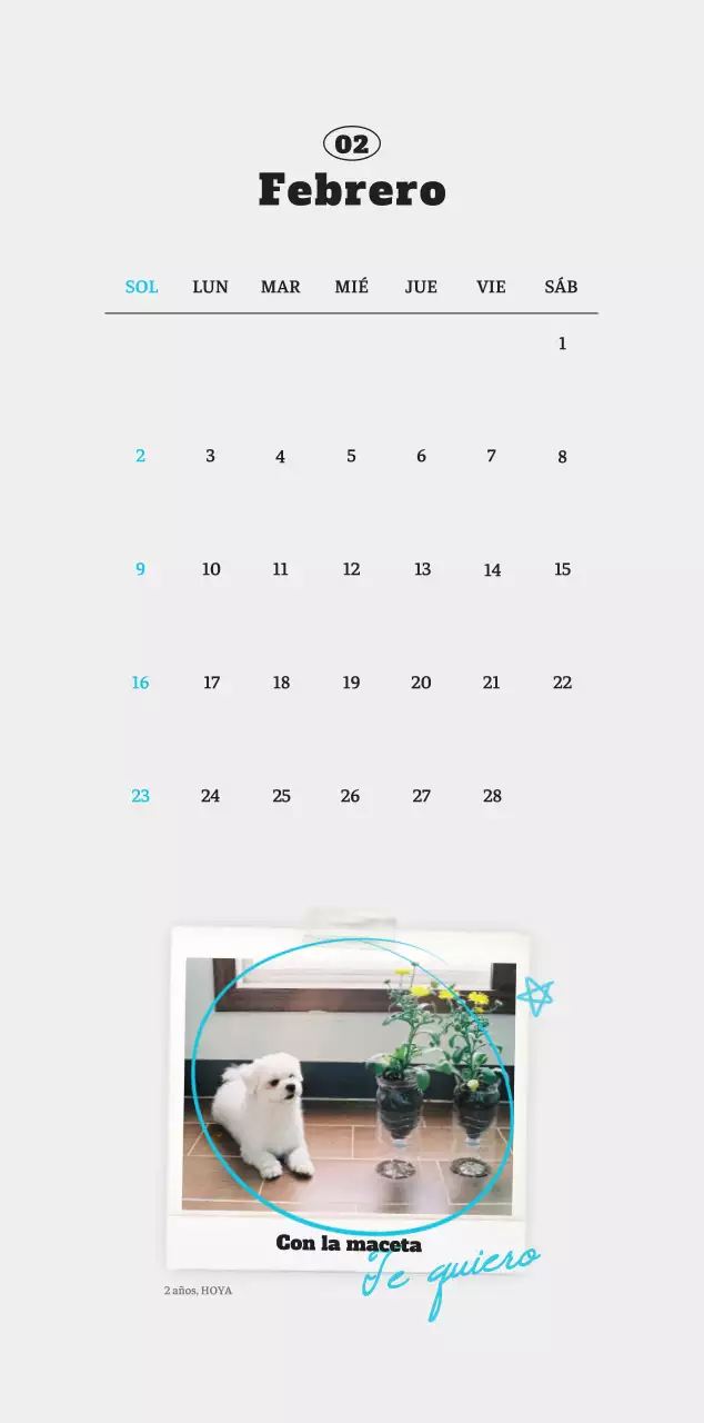 Ballet Blanco Neat Animal Foto Calendario