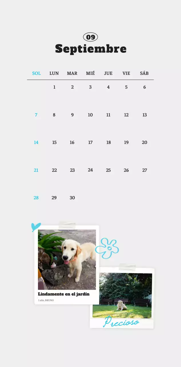 Ballet Blanco Neat Animal Foto Calendario