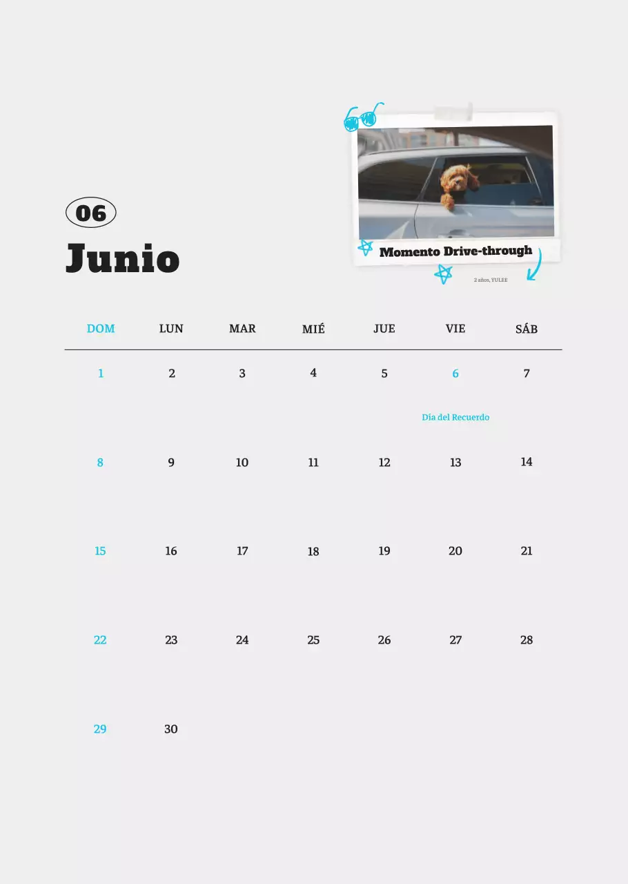 Ballet Blanco Neat Animal Foto Calendario