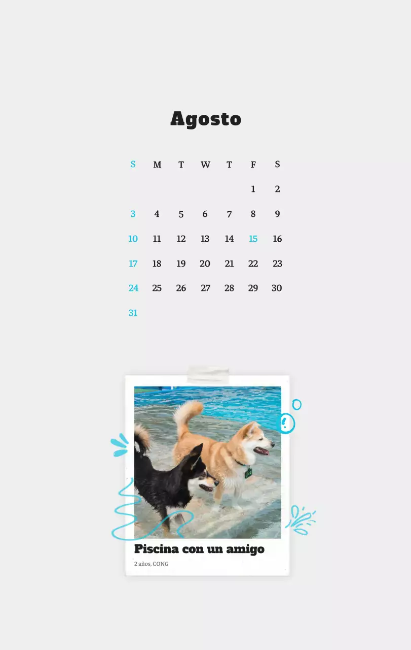 Ballet Blanco Neat Animal Foto Calendario