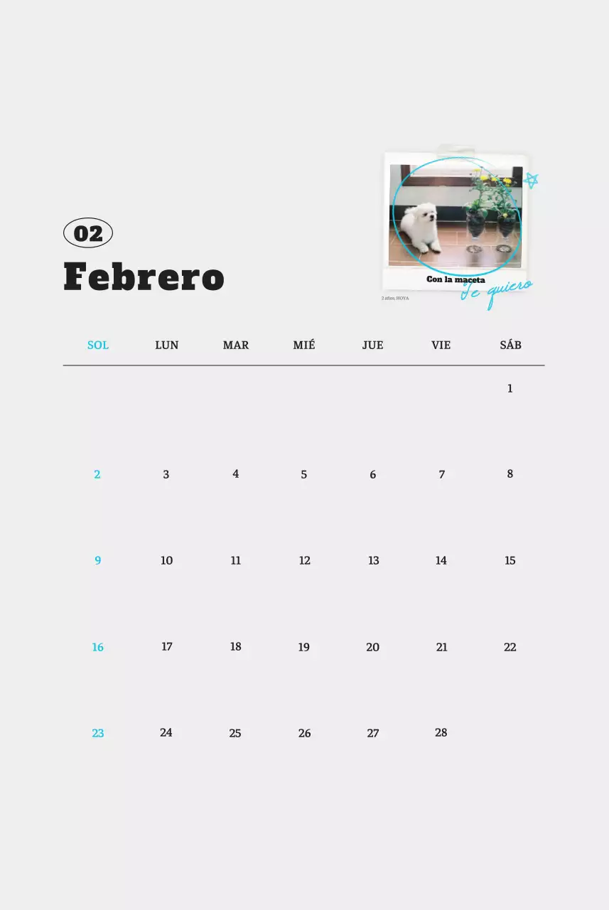 Ballet Blanco Neat Animal Foto Calendario